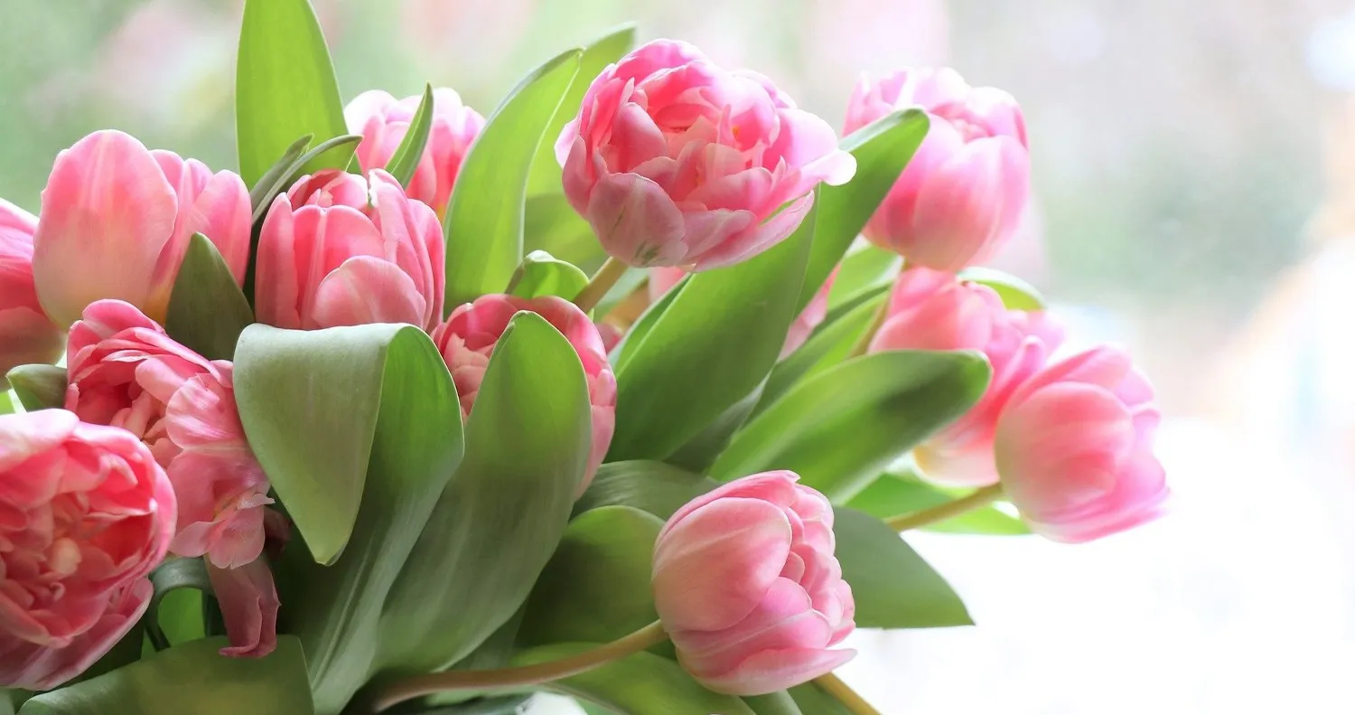 График работы с 5 по 8 марта 2022 г 