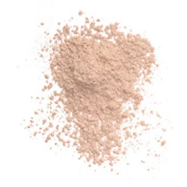 Chambor Silver Shadow Compact Powder запасной блок