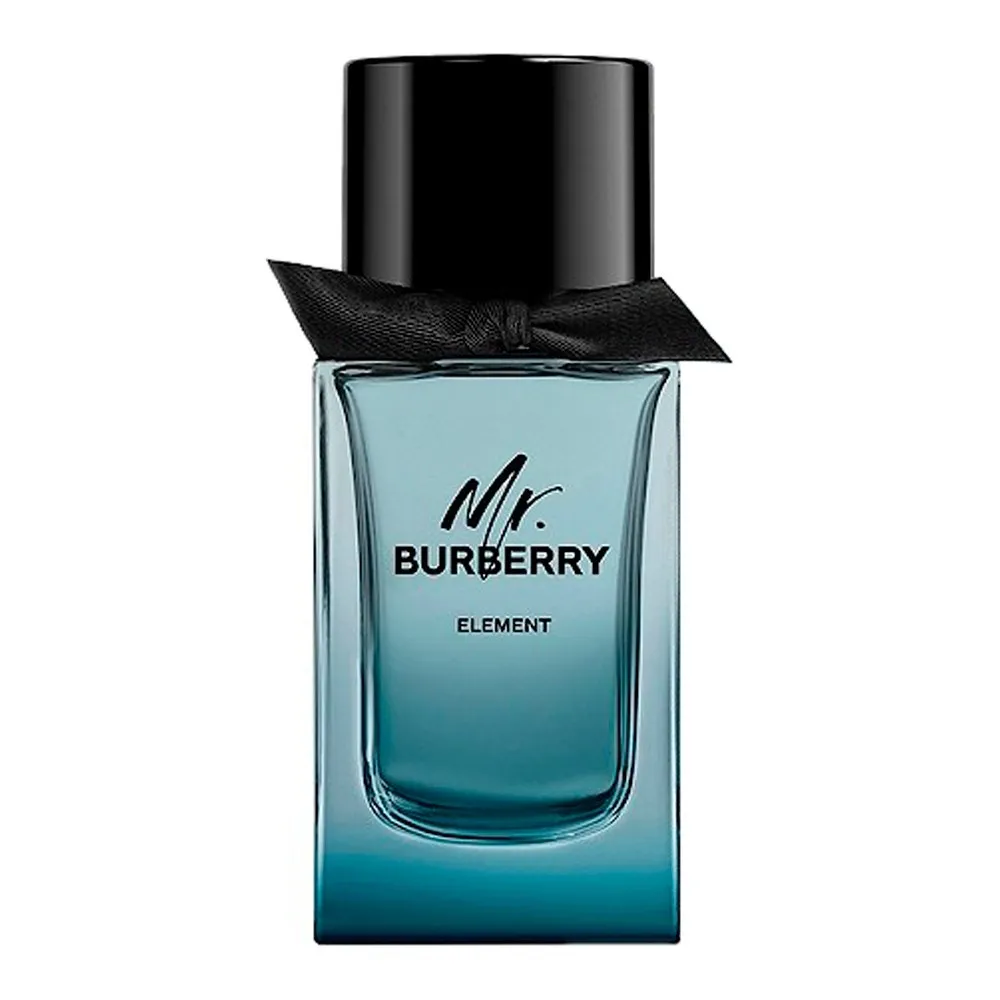 Mr. Burberry Element туалетная вода