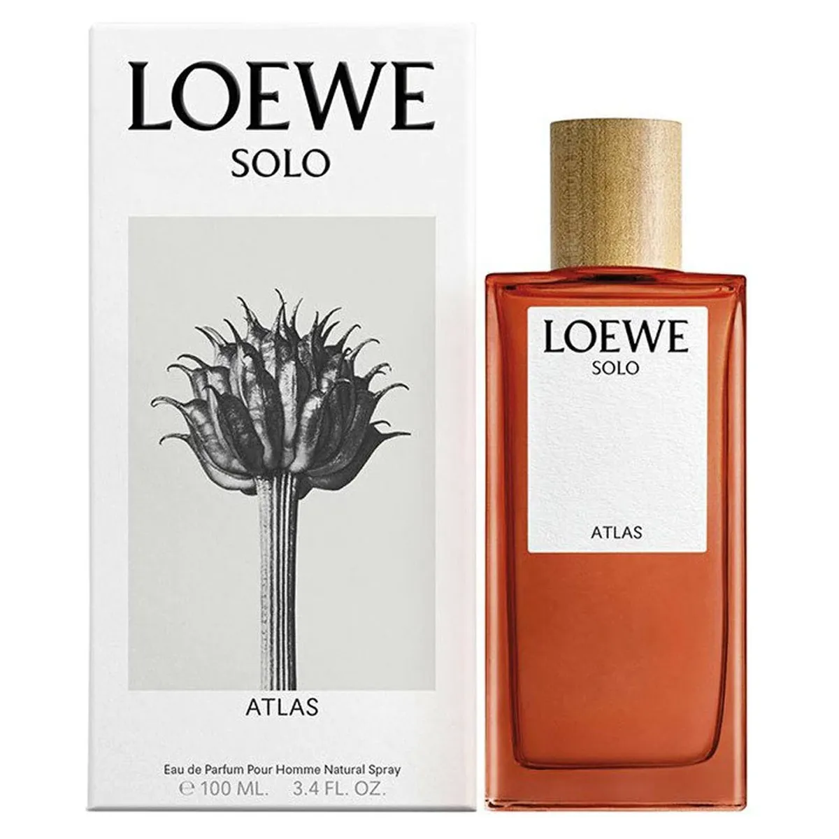Solo Atlas парфюмерная вода