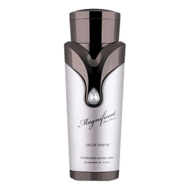 Magnificent Pour Homme парфюмерная вода