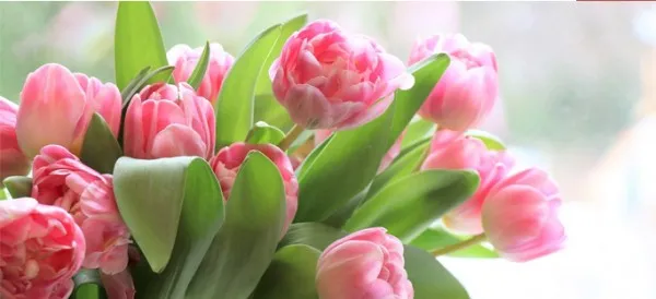 График работы с 5 по 8 марта 2022 г 