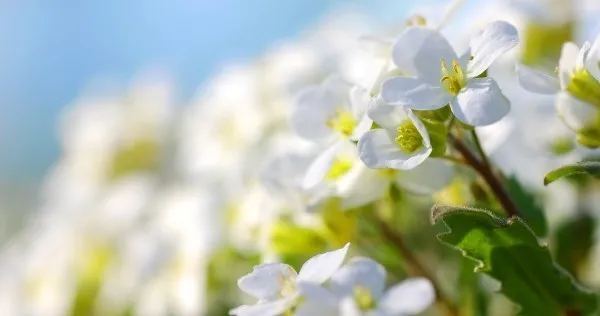 График работы на майские праздники 2025