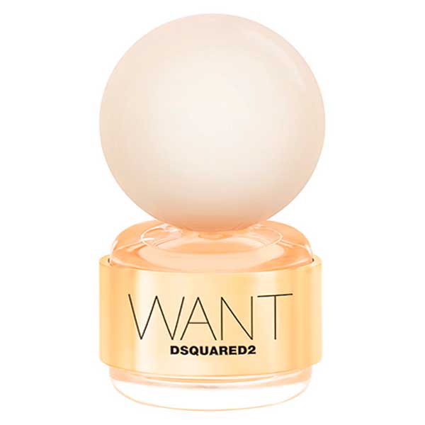 Парфюмерная вода Dsquared2 Want 100 мл. тестер